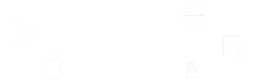 WordPress CMS framework for customized integrated business solutions