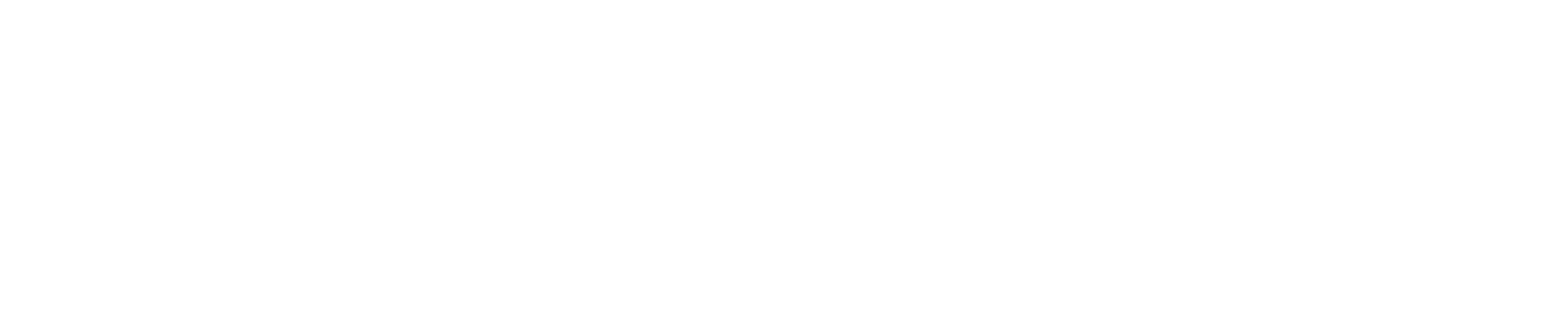 WordPress CMS framework for customized integrated business solutions